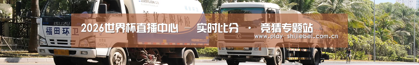 成功案例