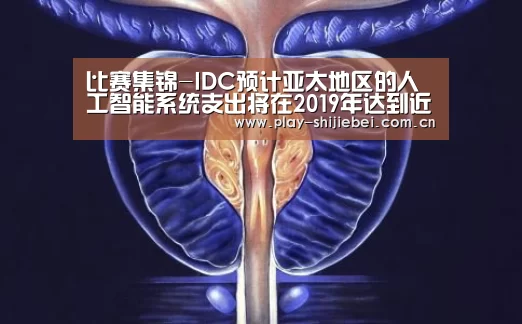 比赛集锦-IDC预计亚太地区的人工智能系统支出将在2019年达到近55亿美元(图2) 比赛集锦