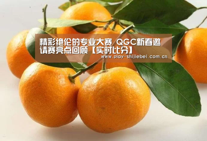 世界杯