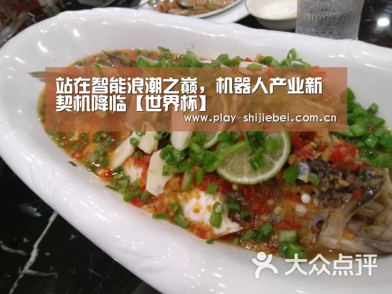实时比分